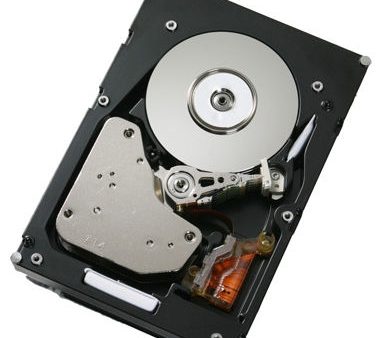 Harddisk 73 GB hot-swap 2.5 IBM Online