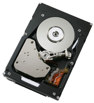 Harddisk 73 GB hot-swap 2.5 IBM Online